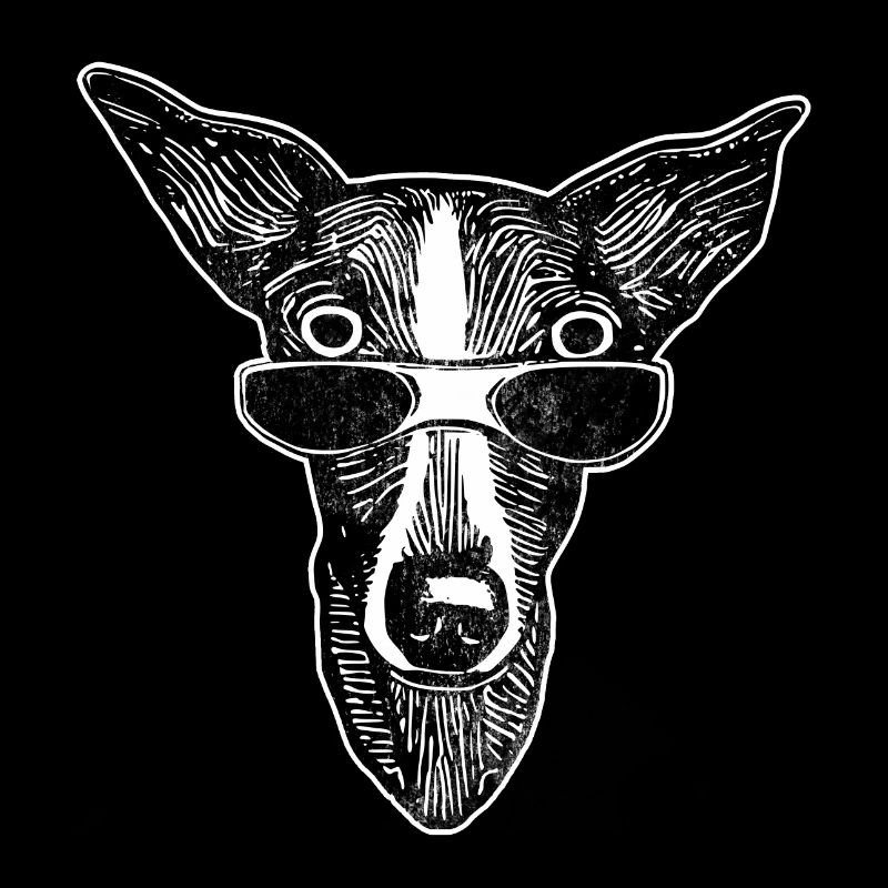 Erstaunter Hund