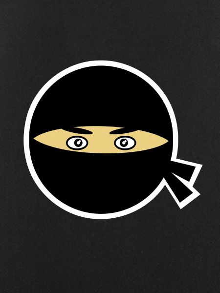 Ninja head