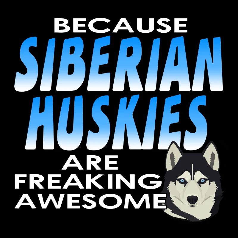 Husky sibérien