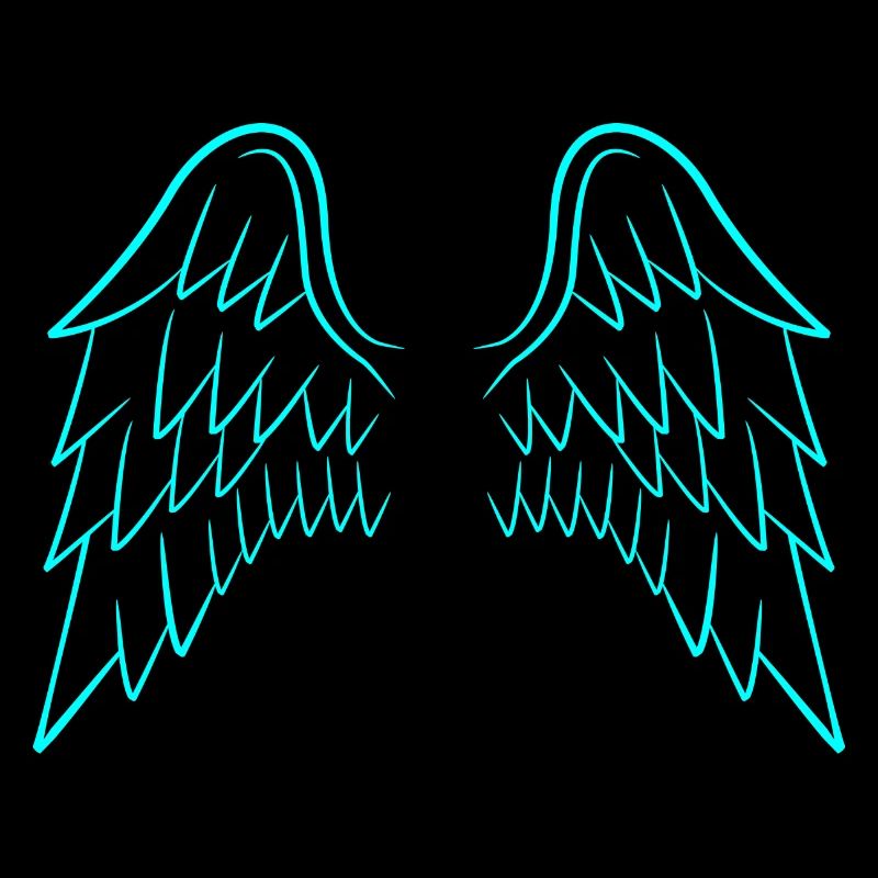 Ailes d'ange ailes