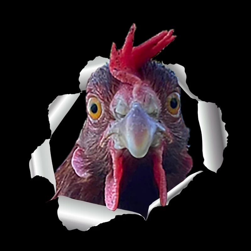 Chicken - torn paper