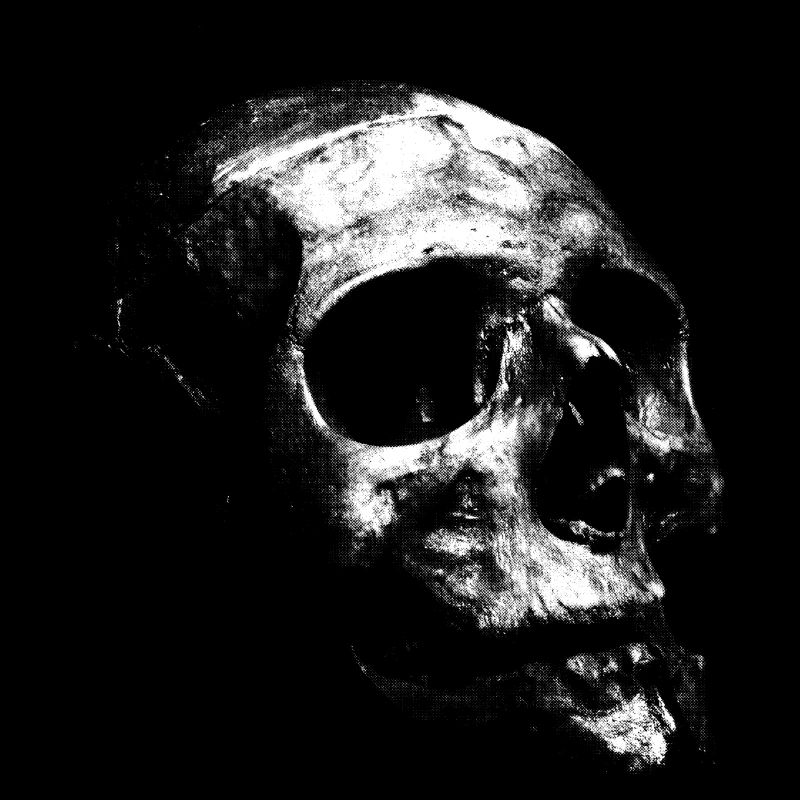 Old white skull