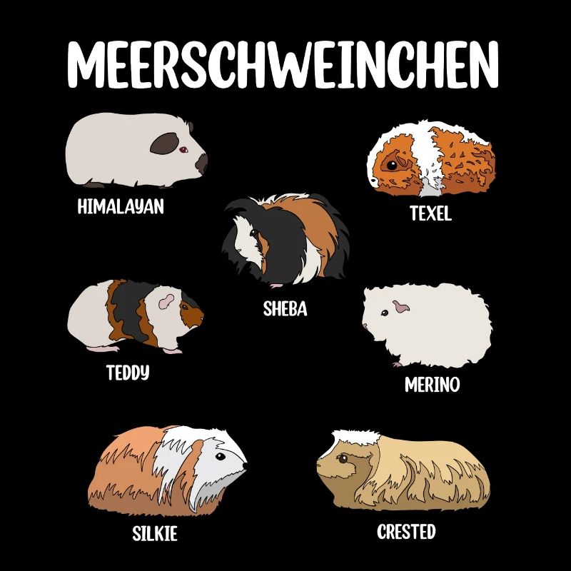 Guinea pig