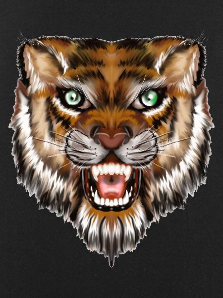 tiger head