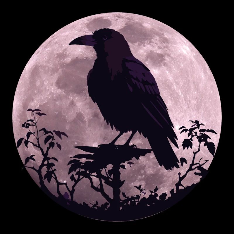 Raven in full moon light