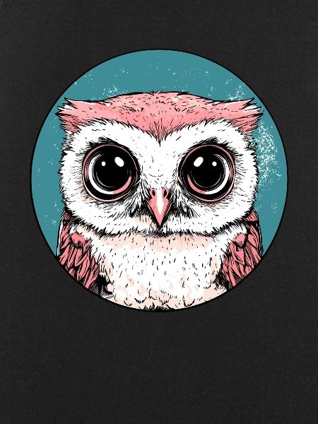 Big Eyes Owl