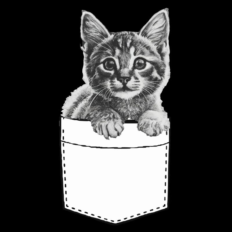 Petit chat mignon dans un sac