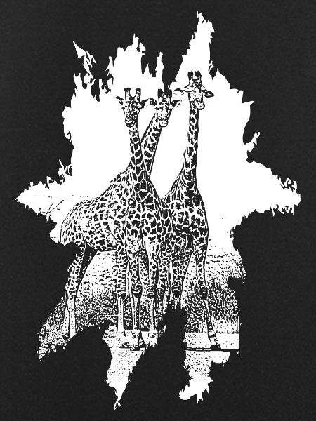 Giraffen der Savanne