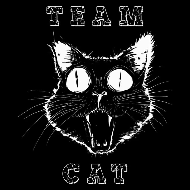 crazy cat TEAM