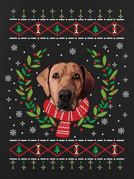 Broholmer Weihnachtspullover - Geschenk