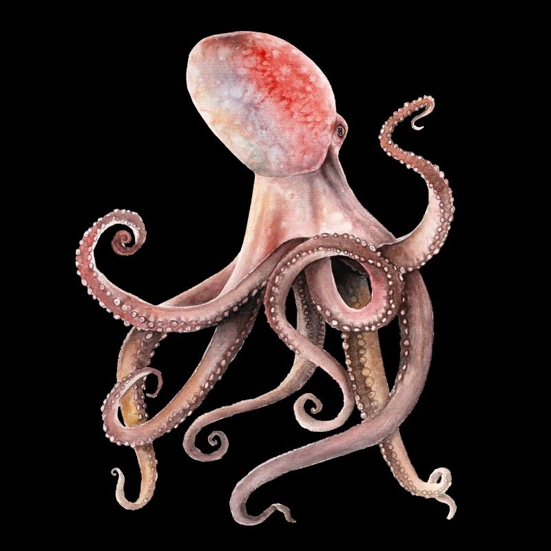 Krake
