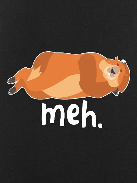 Meh. marmot