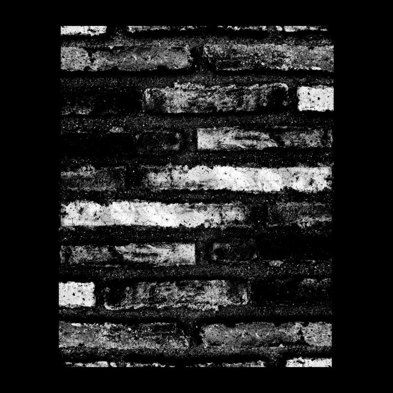 Black and white. Bricks background vinrag