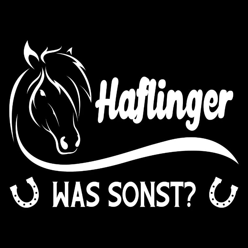 Haflinger Was Sonst Pferd Reiter