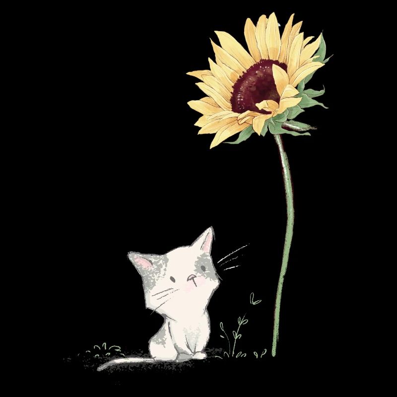 Chat avec tournesol