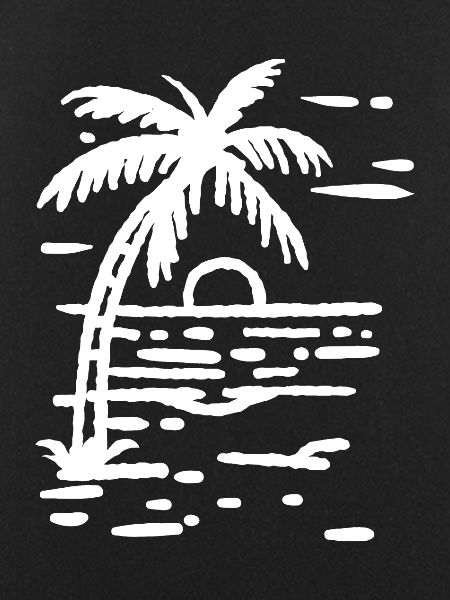 Palm Tree Beach Sunset