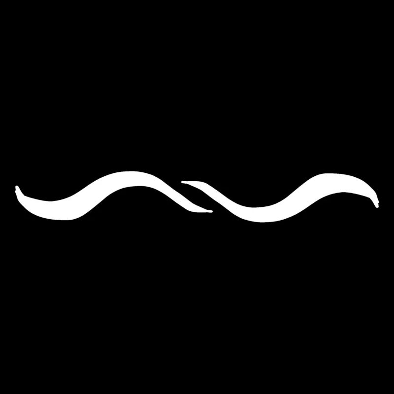 Two Wave Wave Line