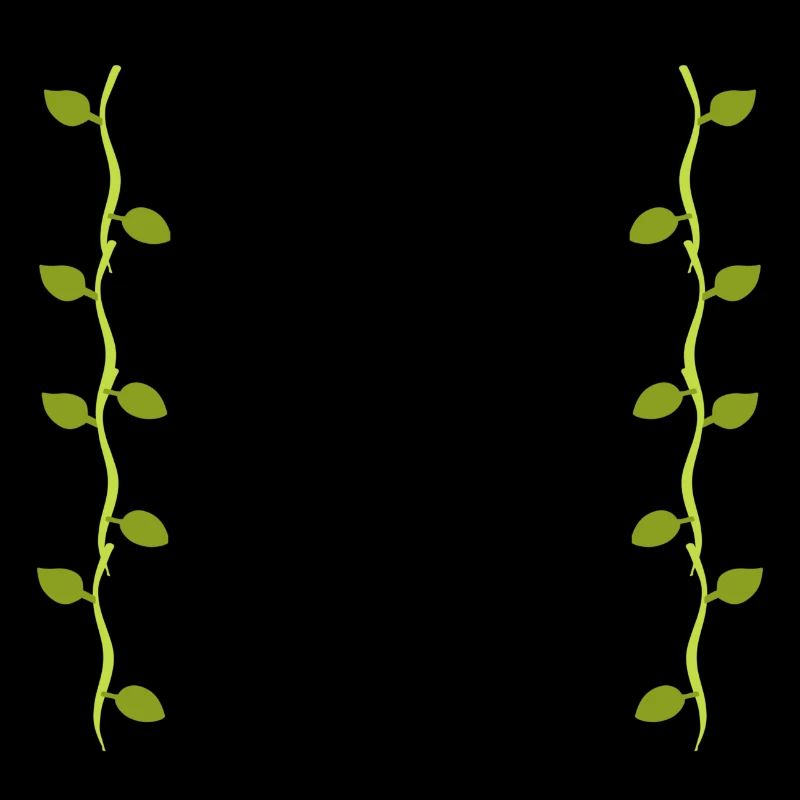 Leaves Line Nature Leaf Branches