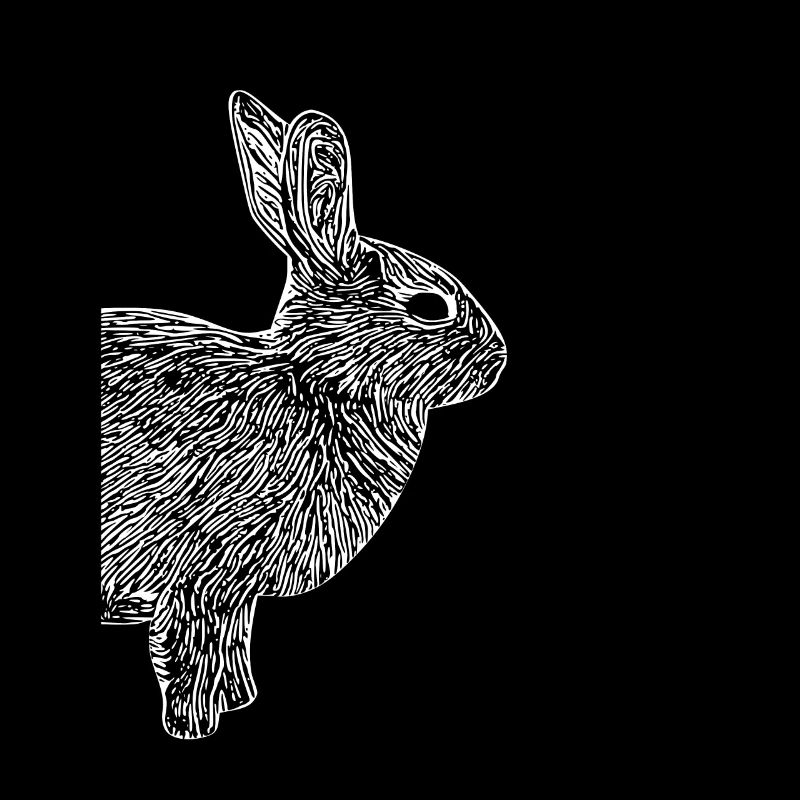 Lapin mignon Lapin Lapin Cadeau