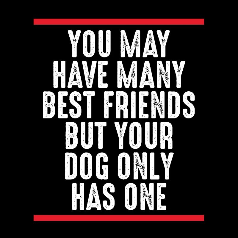Ihr Hund Hat Einen Besten Freund