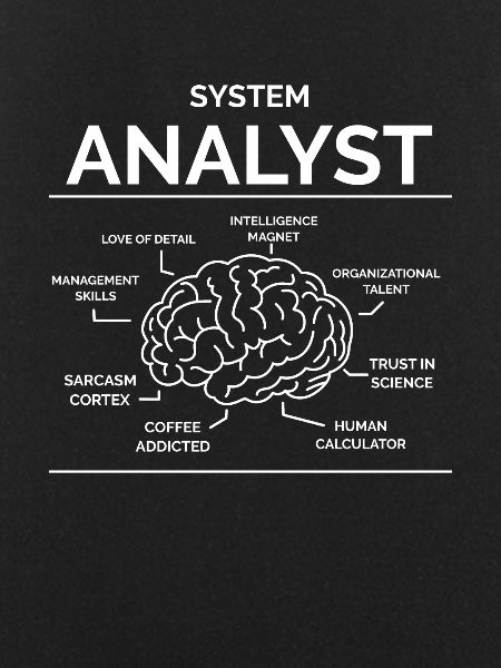 Systems analyst