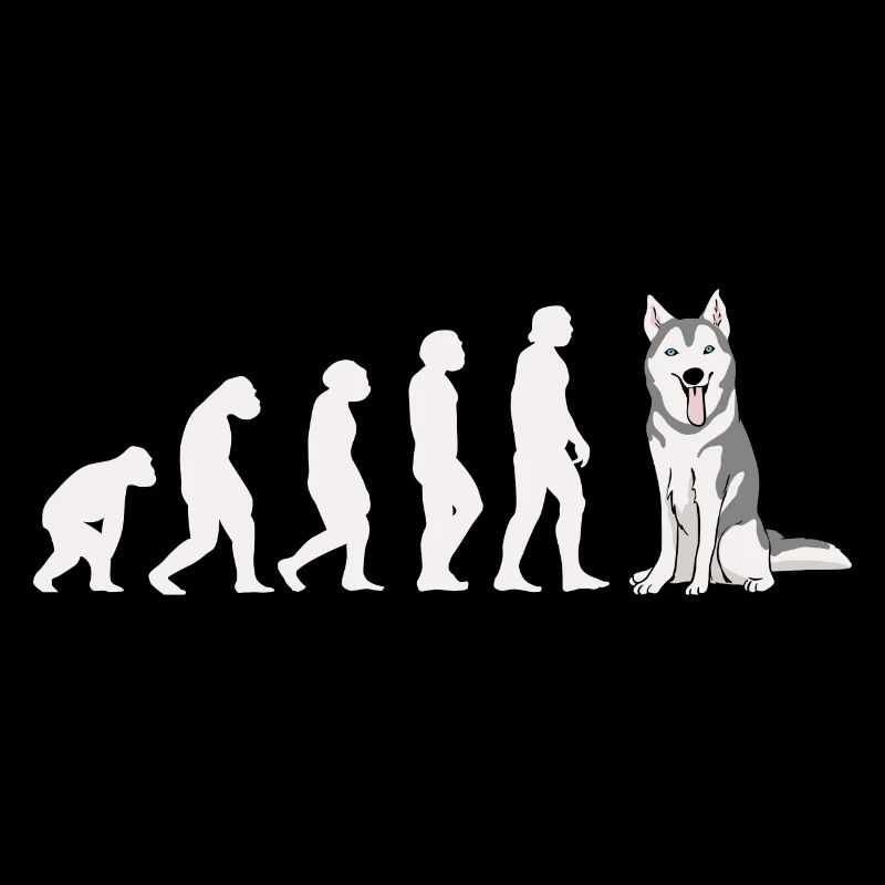 Evolution Siberian Husky