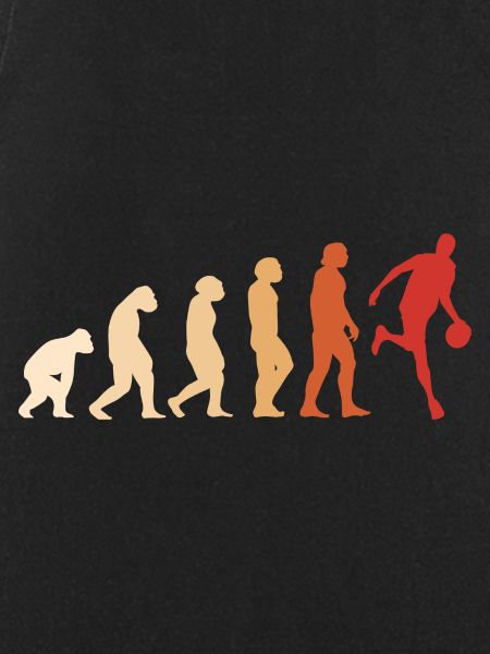 Sport Evolution Basketball