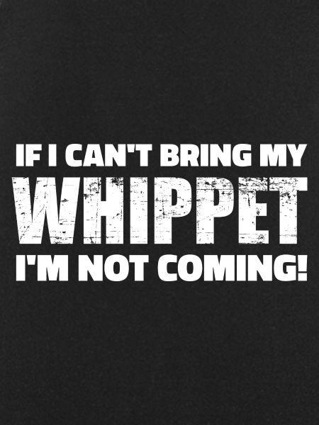 Whippet