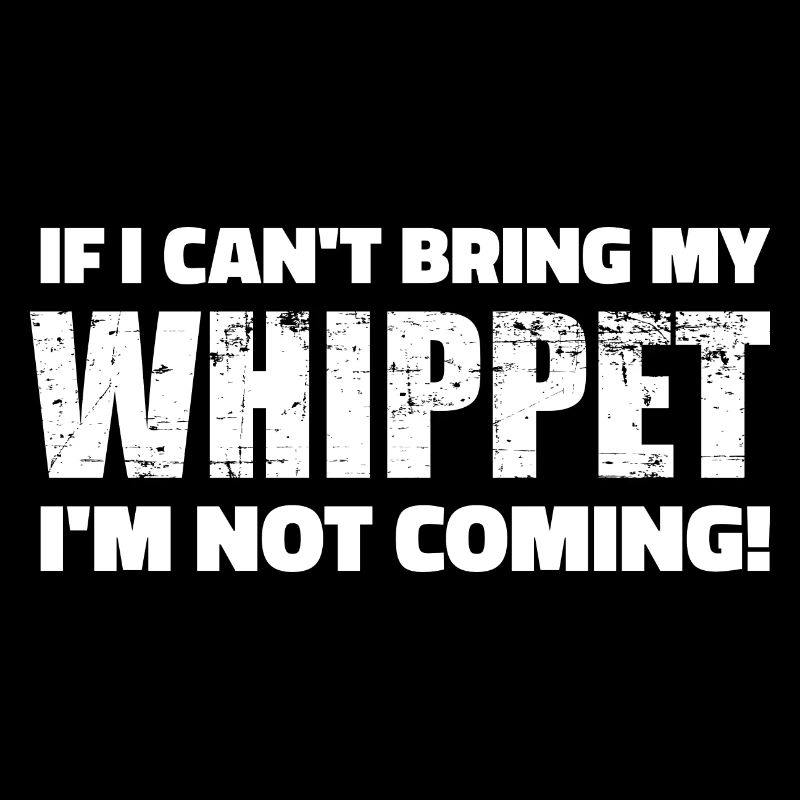 Whippet