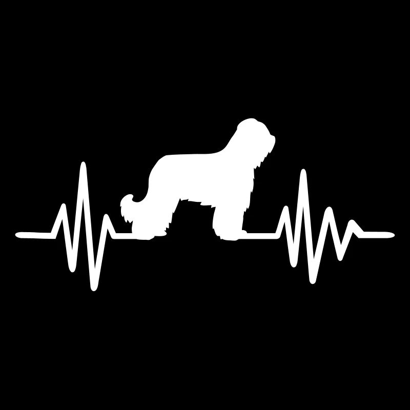 Briard