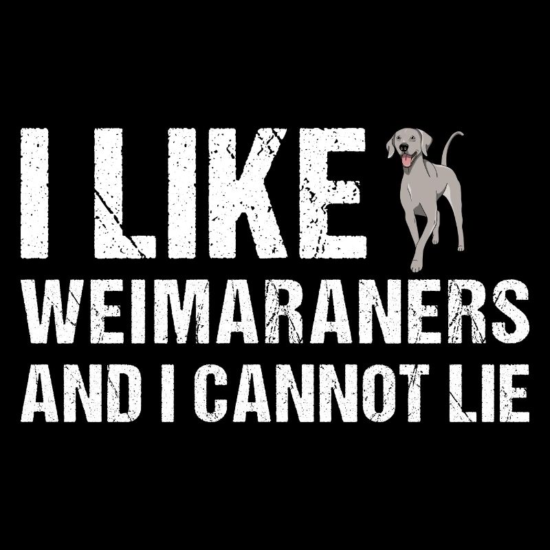 I Like Weimaraner And I Cannot Lie