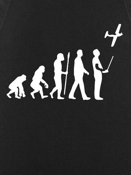 Model Flight Evolution