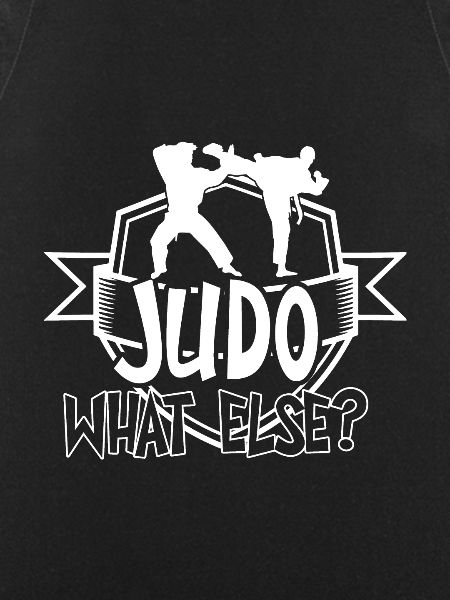 Judo Fight
