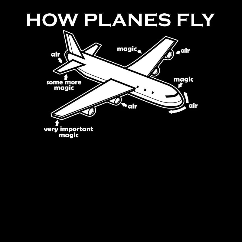 Comment les avions volent