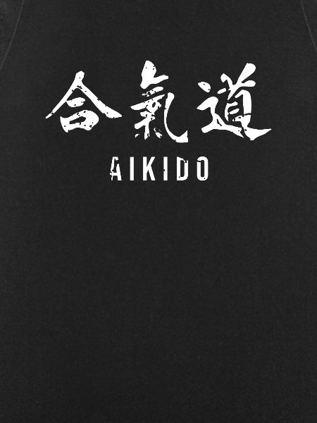 Aikido Master