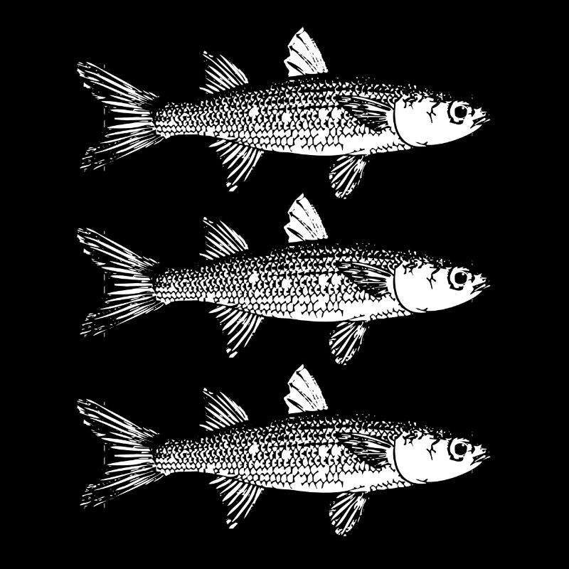 Pêche