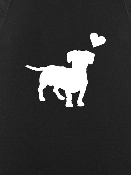 canine