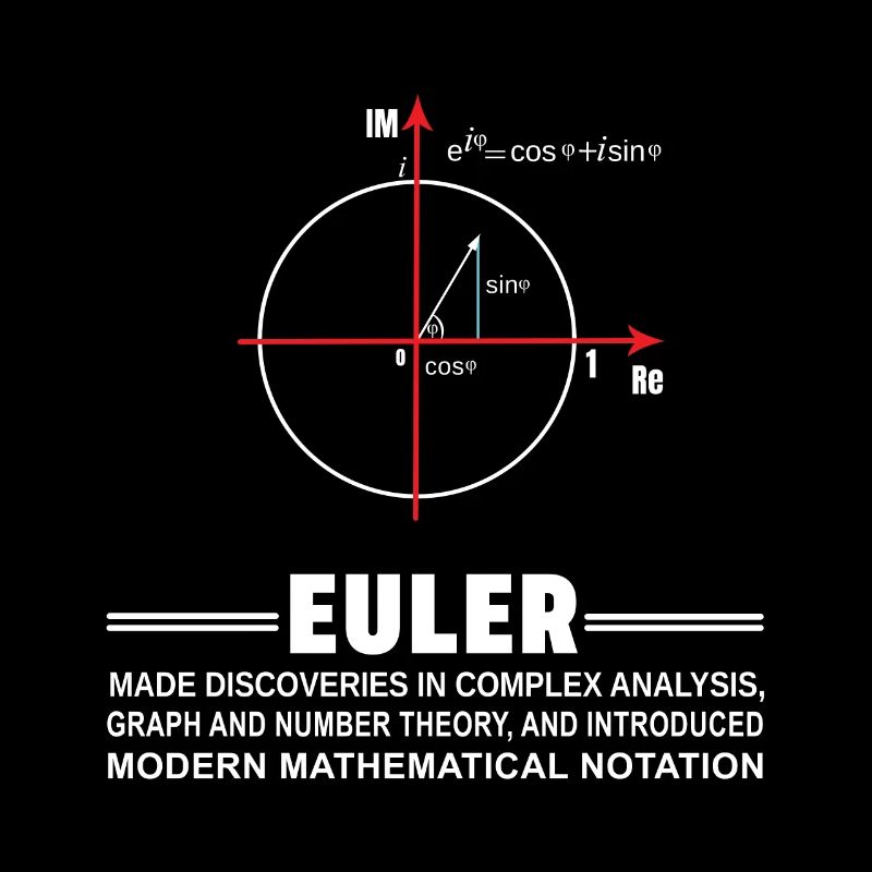 Euler Mathematik