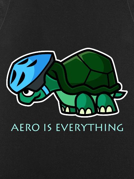 Aero Is Everything