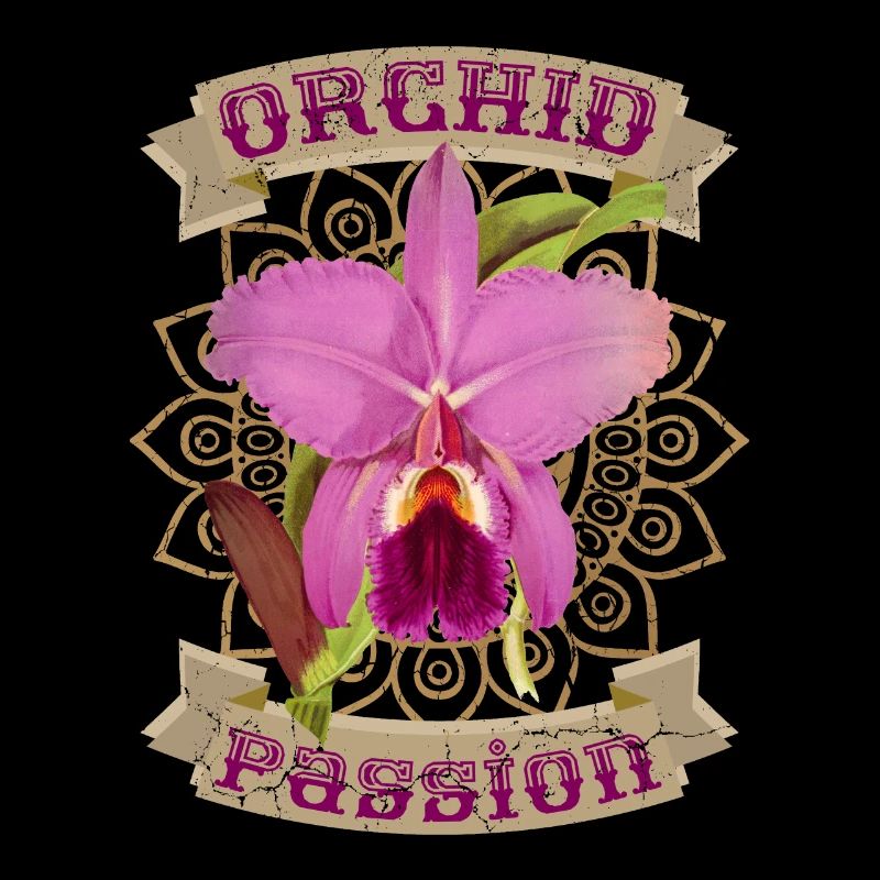 Orchidée, Orchidées, Orchidée Vintage