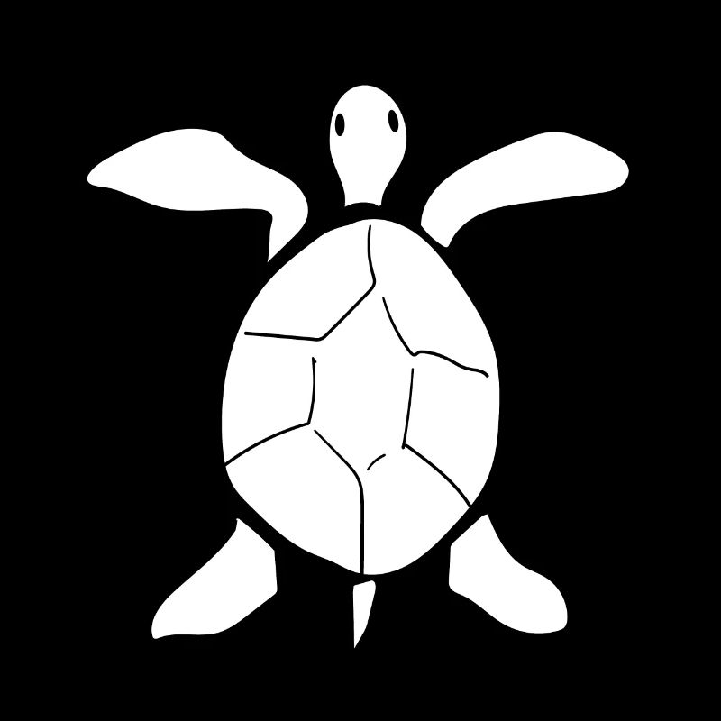 Turtle Turtle