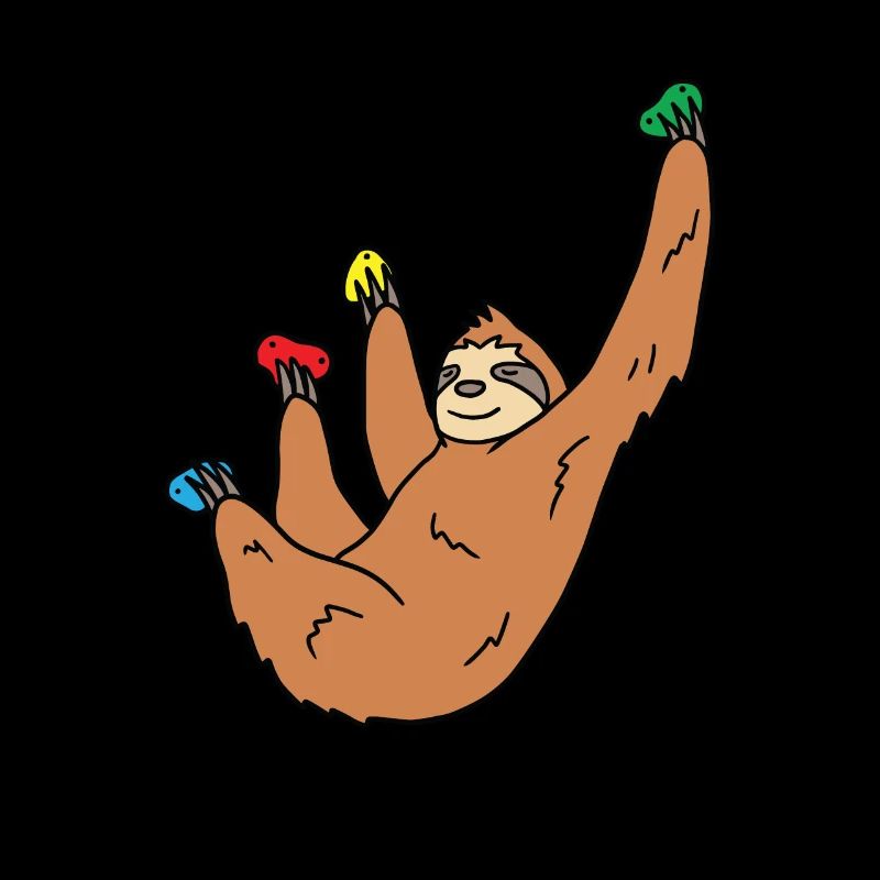 Sloth Climbing Gift