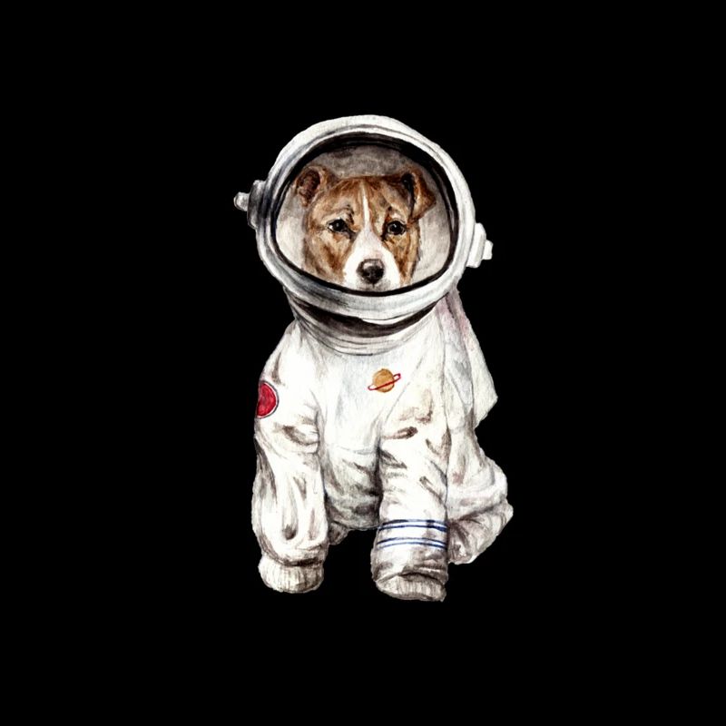 Chien en combinaison spatiale Spatiale Spatiale