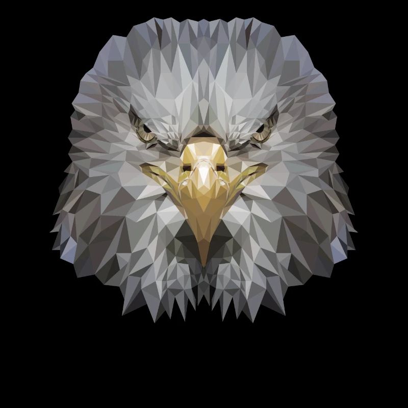 Aigle Polygone Oiseau de proie