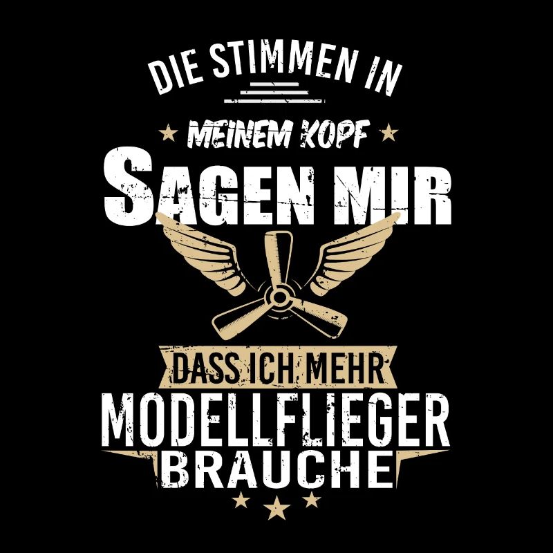 Modellbau Flugzeug Modellflug