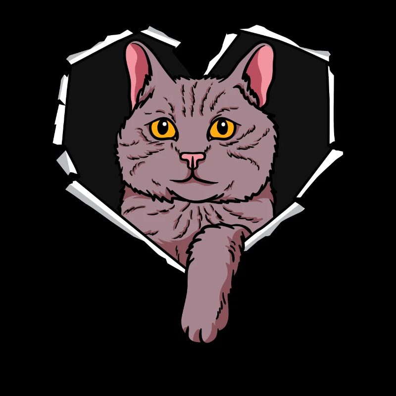 Torn hole crack cat