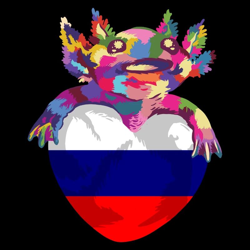 Drapeau de russie Vintage Drapeau russe d’occasion Look