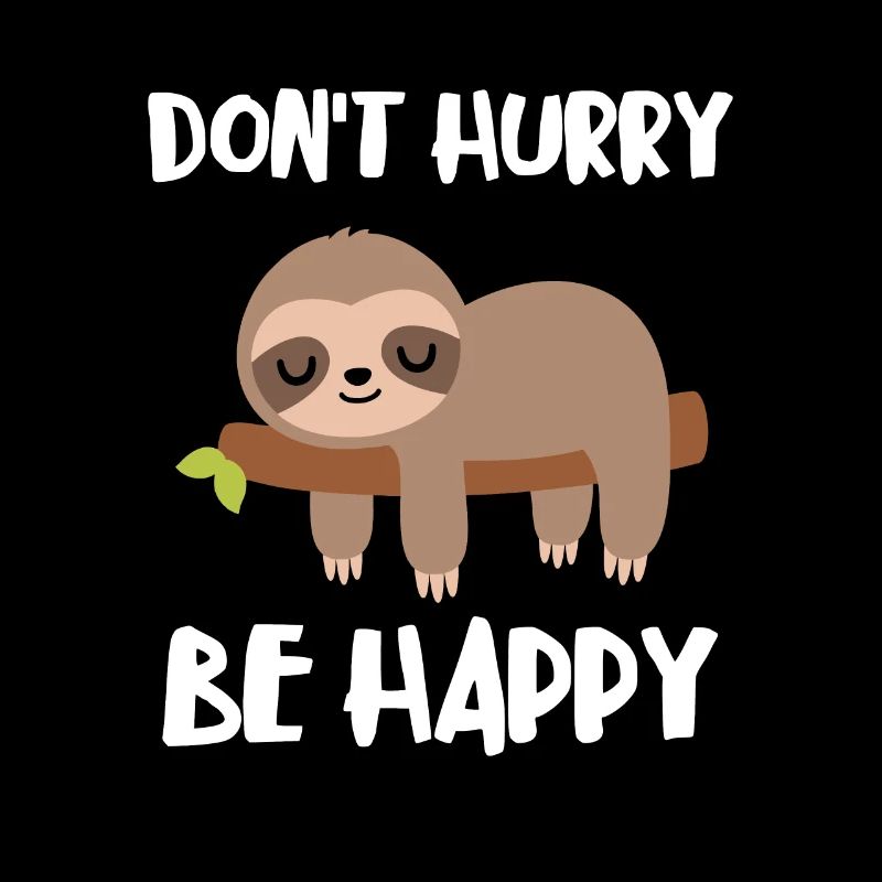 Dont Hurry Be Happy Sloth