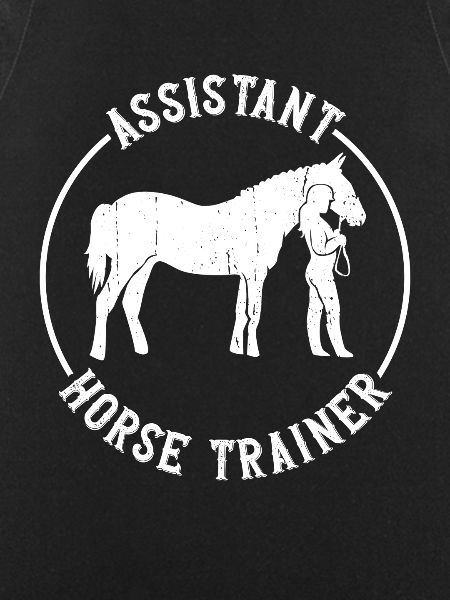 Assistent Pferdetrainer - Pferdetrainer Reiten