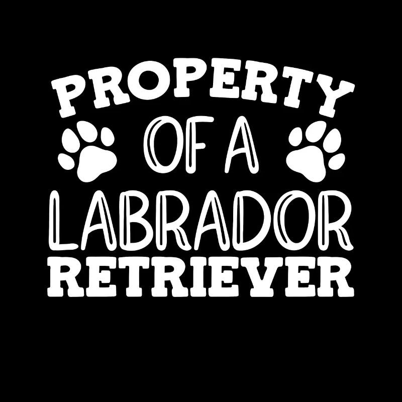 Chiens Labrador
